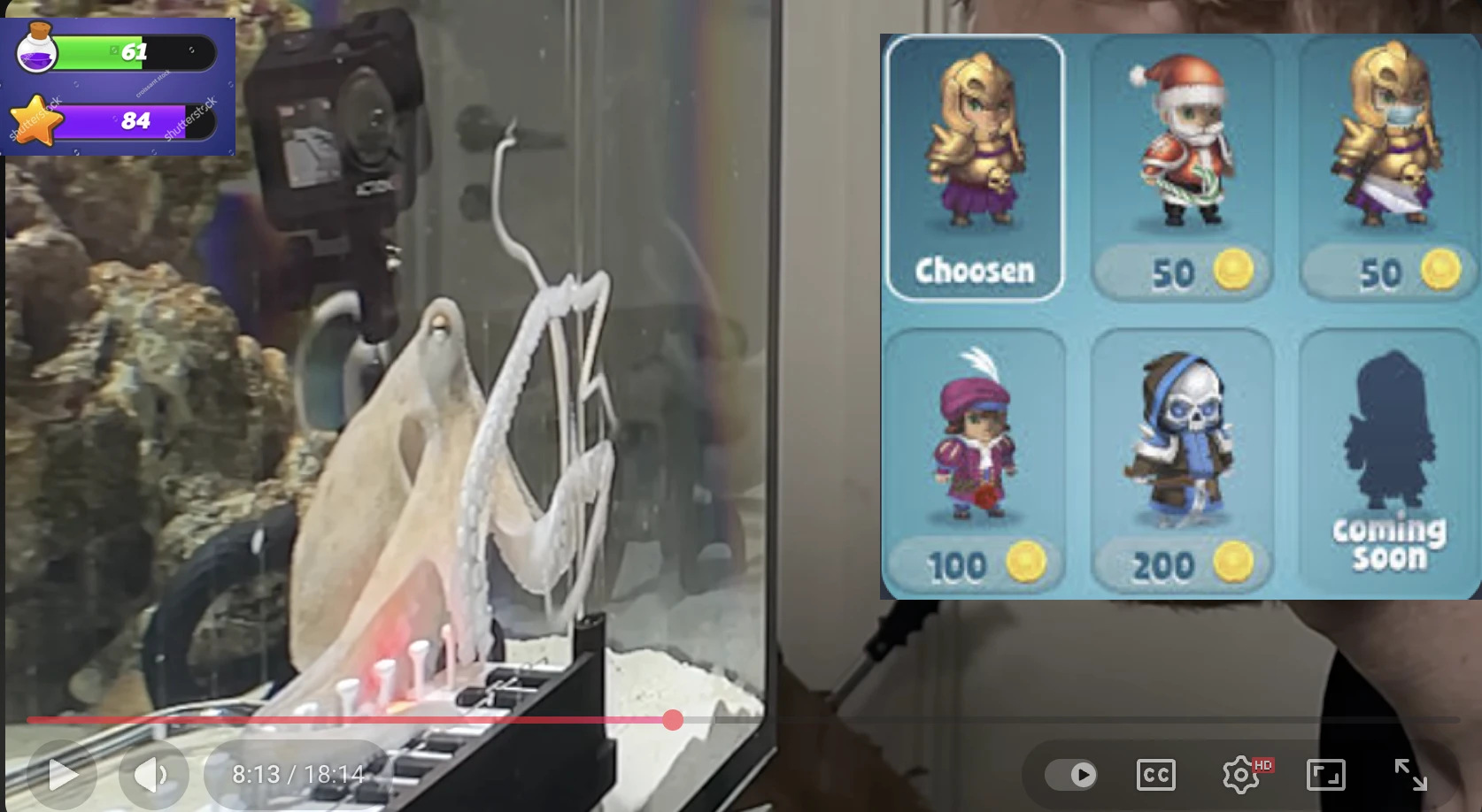 Custom levers and a progression bar used to teach an octopus how to play piano